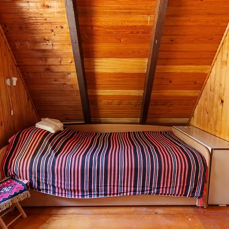 Pet-friendly - Planinska Vikendica Medurecje *
