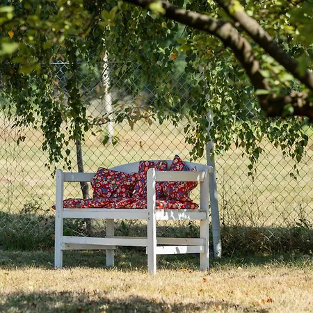 Pet-friendly - Planinska Vikendica Medurecje Ivanjica