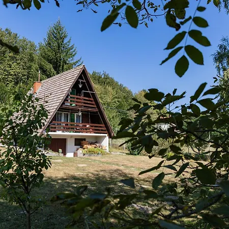 Pet-friendly - Planinska Vikendica Medurecje